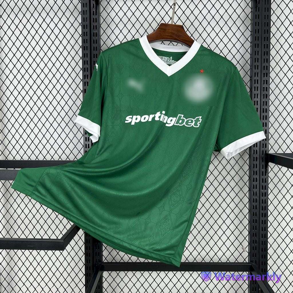 Camiseta PALMEIRAS 25/26 LOCAL